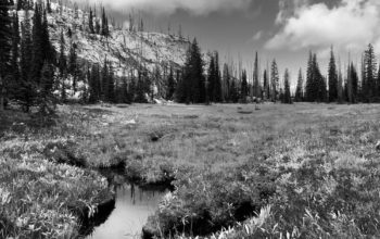 Finding Quiet in the Noise.